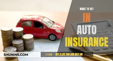 Key Factors to Consider When Vetting Auto Insurance