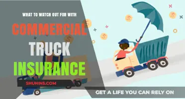 Understanding Commercial Truck Insurance: What to Watch Out For