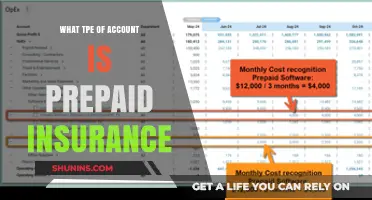 Prepaid Insurance: A Liability Account to Manage Risk