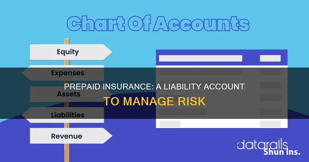 what tpe of account is prepaid insurance