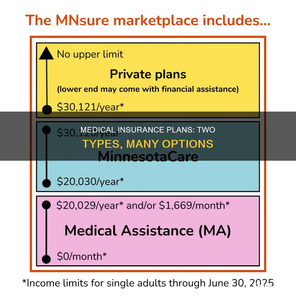 what two broad types of plans offer medical insurance