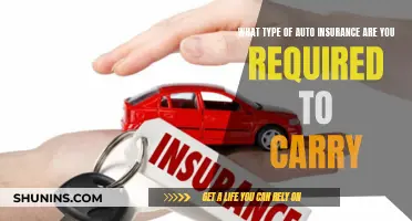 Auto Insurance: Understanding the Mandatory Coverage Basics