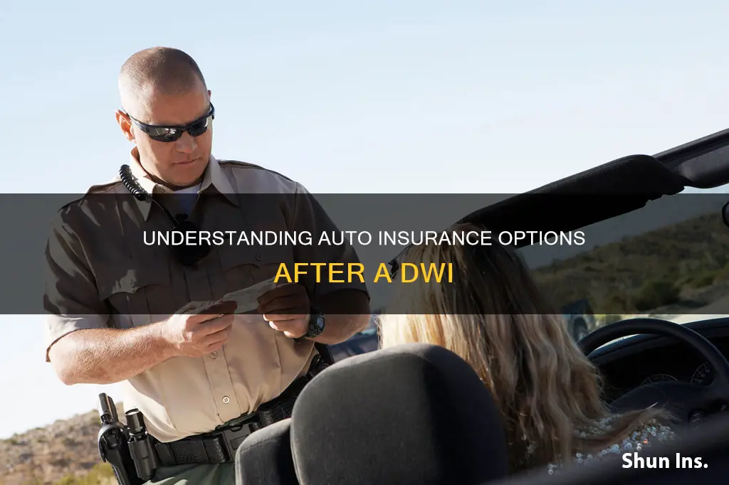 what type of auto insurance can I get with dwi