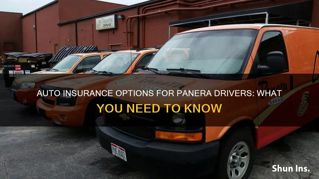 what type of auto insurance do panera drivrs use