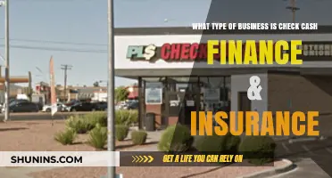 Check Cash Finance & Insurance: What Type of Business?