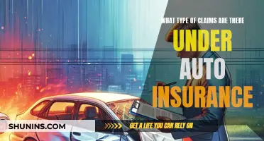 Understanding the Different Types of Auto Insurance Claims