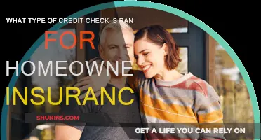 Credit Checks for Homeowners Insurance: What You Need to Know