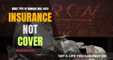 Auto Insurance: Understanding the Limits of Damage Coverage