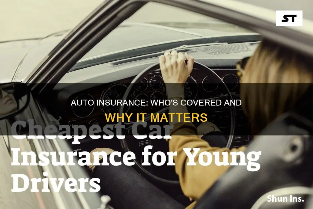 what type of demographic applies to the general auto insurance