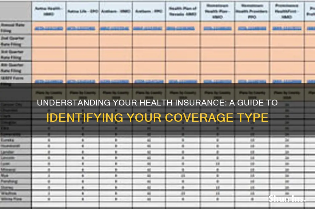 what type of health insurance do i have