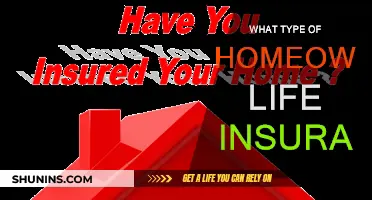 Life Insurance for Homeowners: What Type Do You Need?