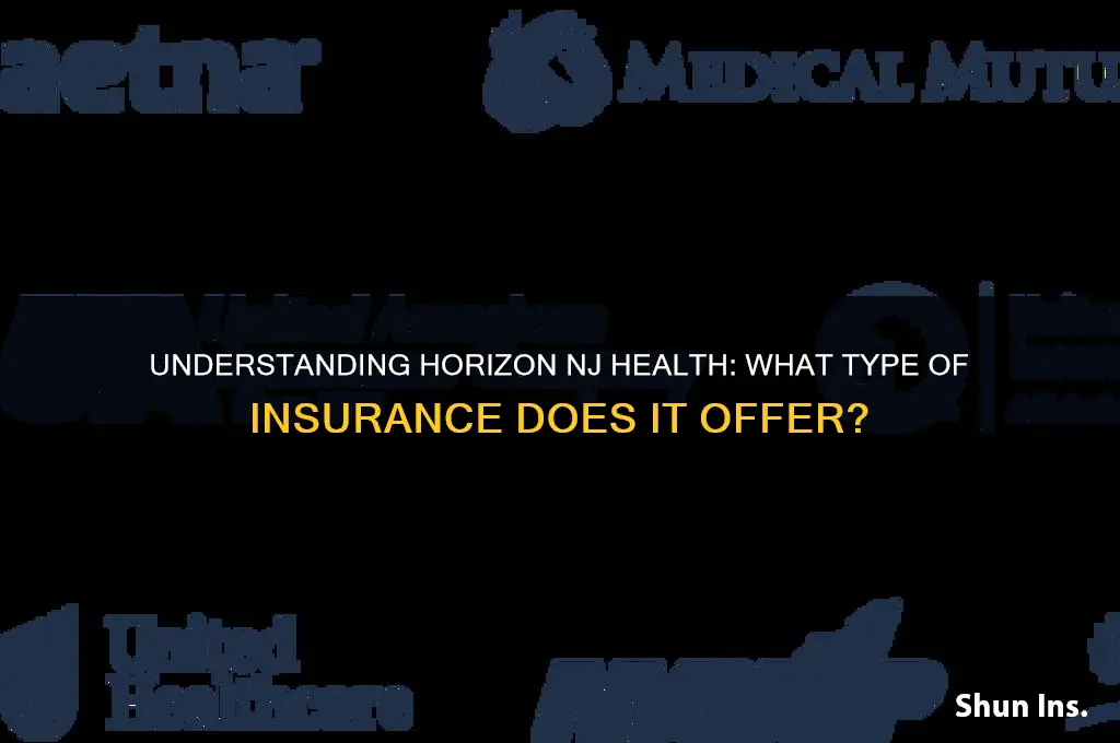 what type of insurance is horizon nj health