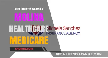 Molina Medicare Plans: Insurance Options for You
