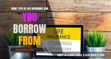 Borrowing from Life Insurance: What You Can and Can't Do