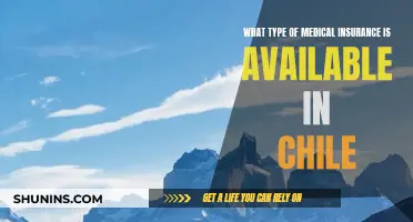 Medical Insurance in Chile: Understanding Your Options