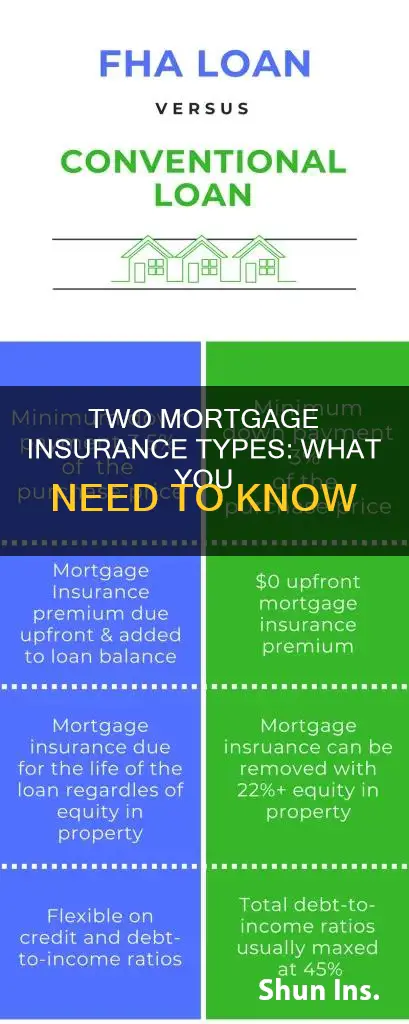 what type of mortgae carries 2 types of mortgage insurance