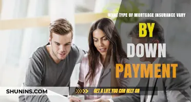 Mortgage Insurance Options: Down Payment Impact