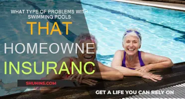 Swimming Pool Woes: Insurance and Homeowner Headaches