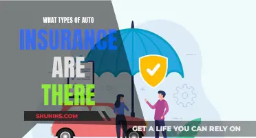 Auto Insurance: Understanding the Different Types