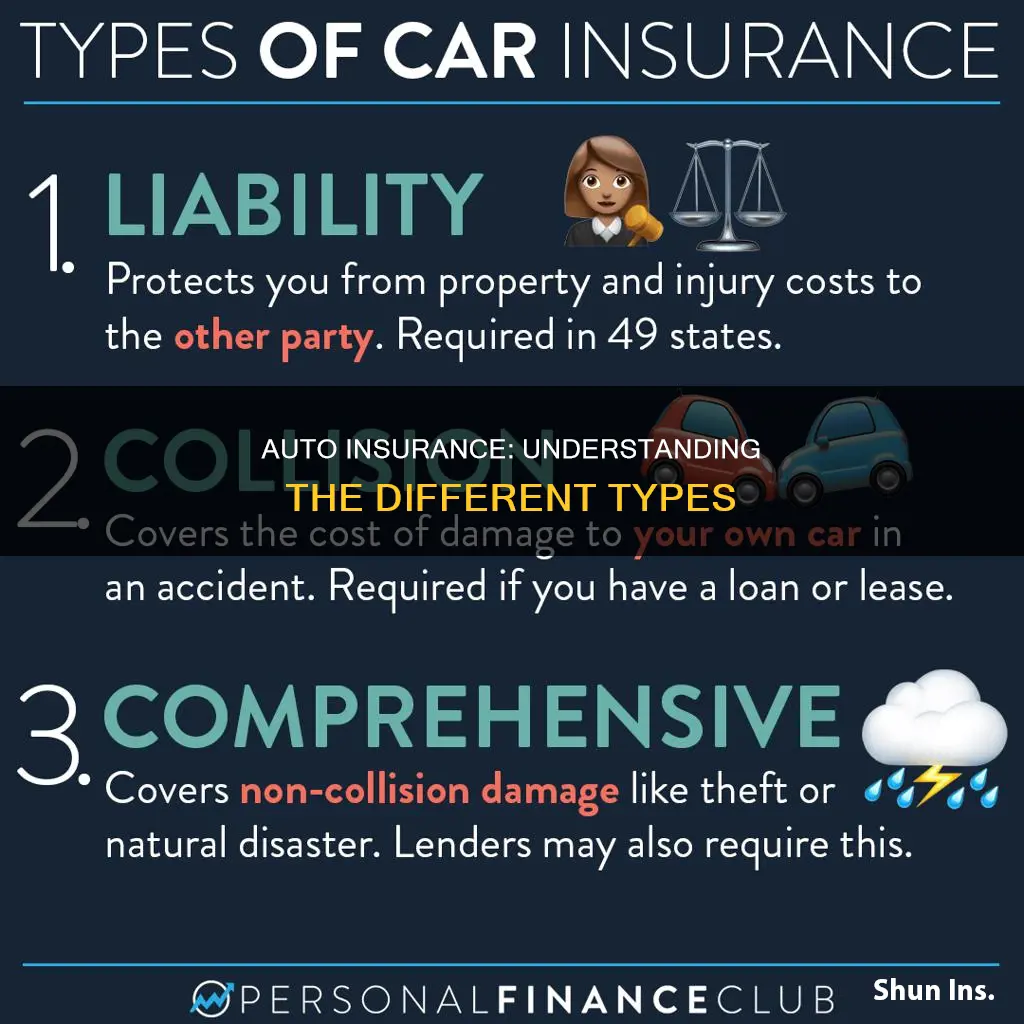 what types of auto insurance are there