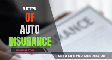 Auto Insurance Types: Understanding Your Coverage Options