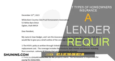 Home Insurance: What Lenders Require From You