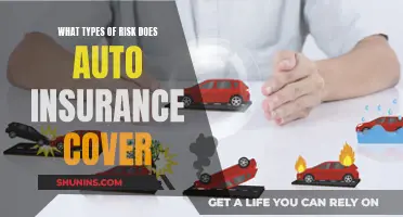 Auto Insurance: Understanding the Different Types of Covered Risks