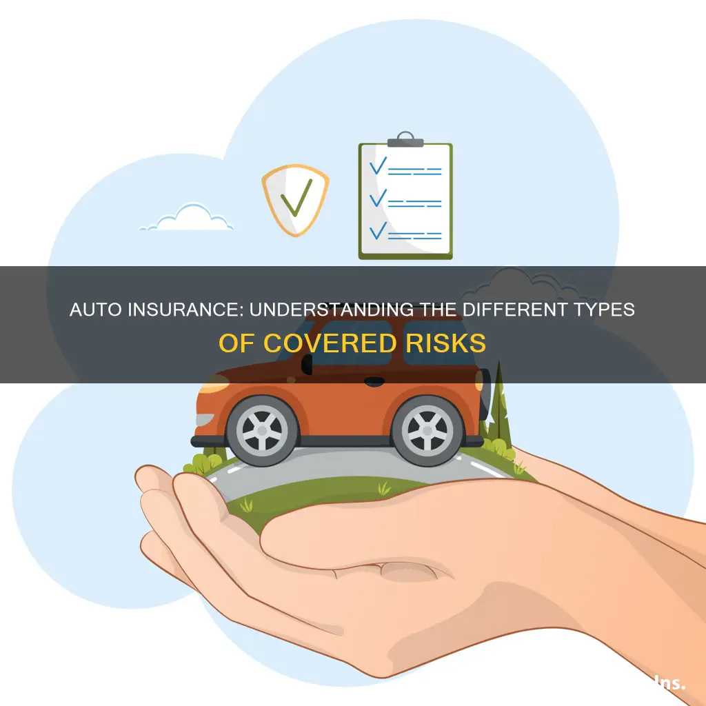 what types of risk does auto insurance cover