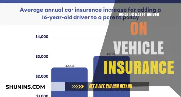 Understanding the Role of a Rated Driver