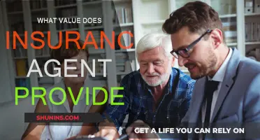 Why You Need an Insurance Agent