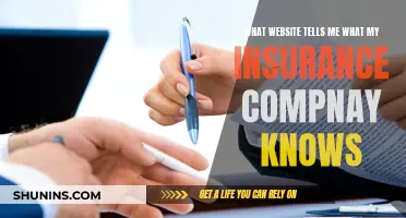 Uncover Your Insurer's Knowledge: Online Insight for Customers