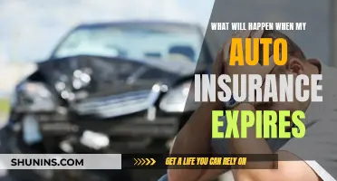 Auto Insurance Expiry: What Happens and What to Do Next