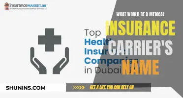 Choosing a Medical Insurance Carrier: Name Considerations