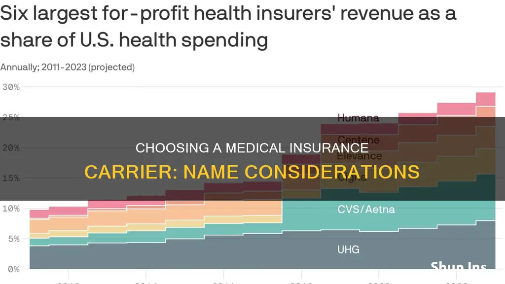 what would be a medical insurance carrier