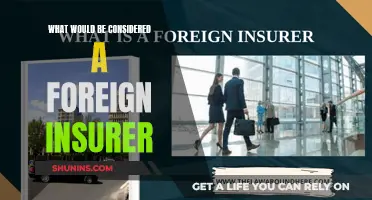 Foreign Insurer: What Qualifies?