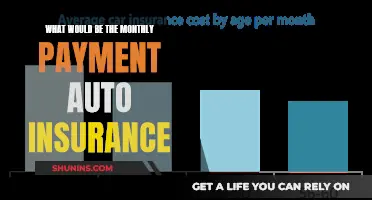 Monthly Auto Insurance Payment: How Much and When?