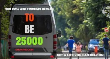 Costly Commercial Insurance: Factors Leading to High Premiums