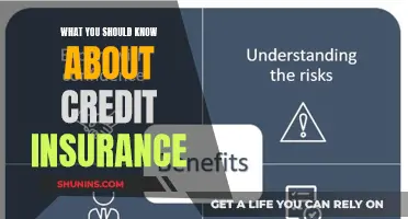 Credit Insurance: Protecting Your Business from Financial Risks