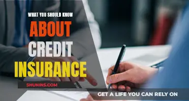Credit Insurance: What You Need to Know