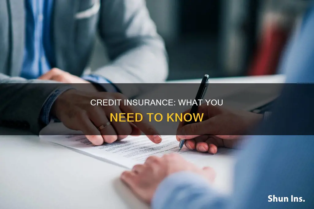 what you should know about credit insurance