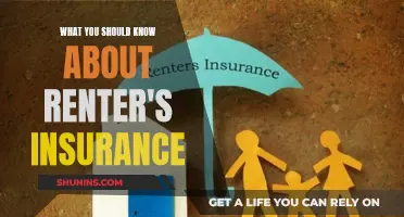 Protect Your Belongings: The Ultimate Guide to Renter's Insurance