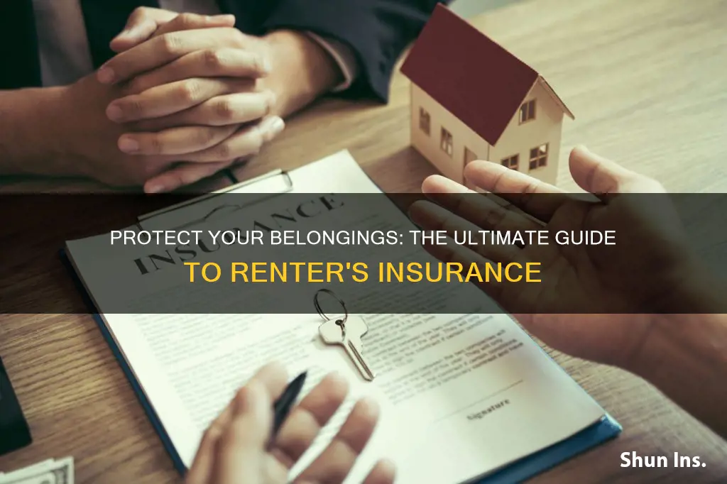 what you should know about renter