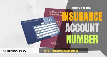 Understanding Your Medical Insurance: Account Number Essentials