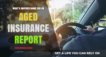 Insurance Report Aging: Alternative Names Explained