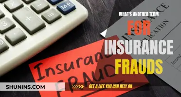 Unraveling the Web of Deceit: Understanding Insurance Deceits and Their Synonyms