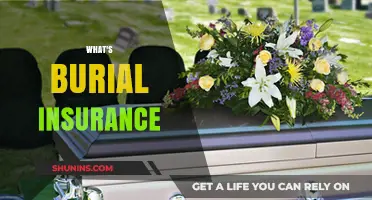 Understanding Burial Insurance: A Guide to Affordable Funeral Coverage