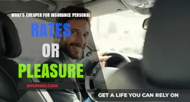 Personal or Pleasure: Which Insurance Rate is Cheaper?