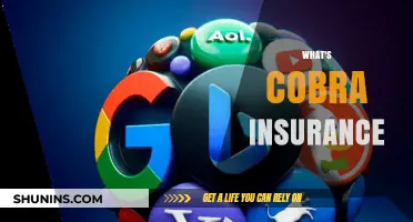 Understanding COBRA Insurance: Your Guide to Continued Coverage