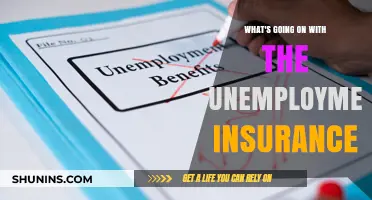 Unemployment Insurance: What's the Current State of Affairs?