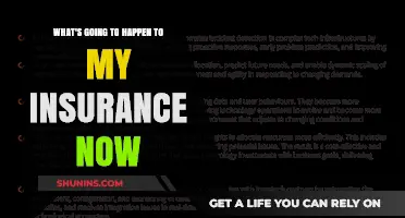 Insurance in Flux: What's Changing and How to Prepare